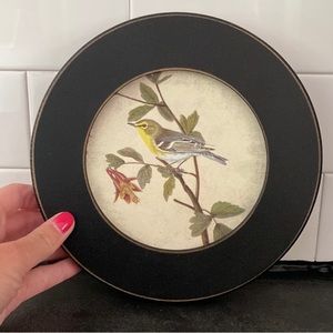 Bird Wall Art